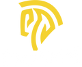 APP Use – EasySMX